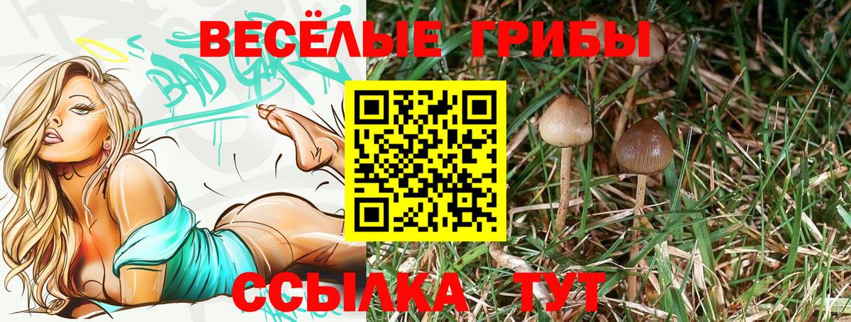 Псилоцибиновые грибы GOLDEN TEACHER Лосино-Петровский