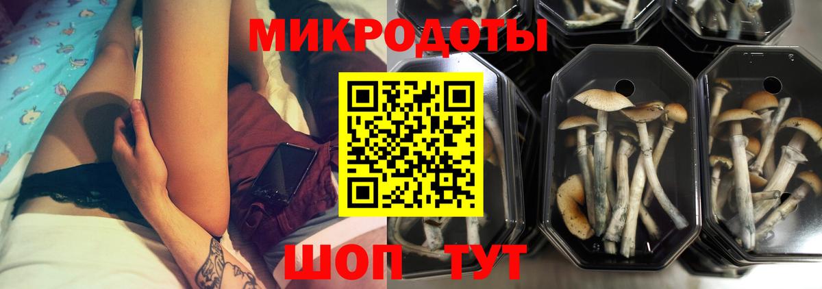 Псилоцибиновые грибы MAGIC MUSHROOMS  Вход с VPN  Лосино-Петровский 